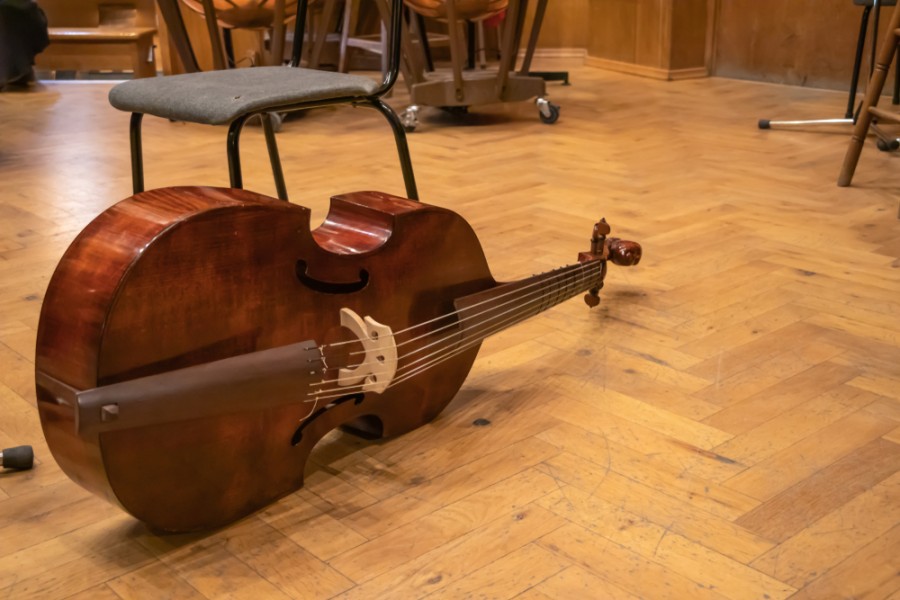 Quelle est la différence entre la viole de gambe et le violoncelle ?