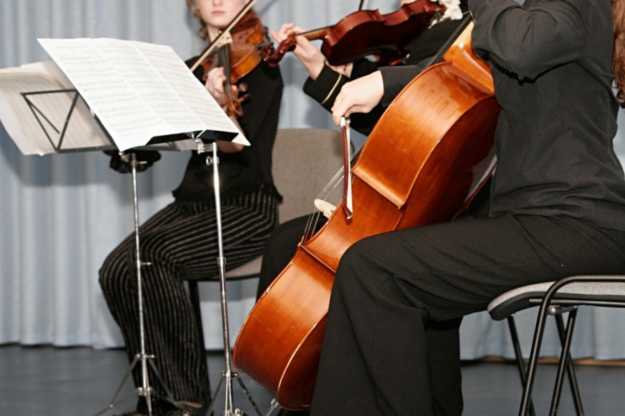 Quel instrument fait partie de la famille des cordes ?