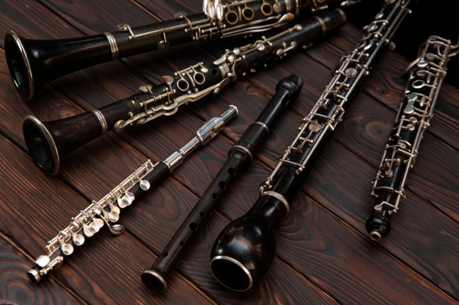 Quelle différence entre une clarinette et un hautbois ?