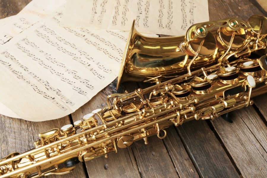 Quels sont les saxophones alto les plus adaptés pour les débutants saxophonistes alto ?