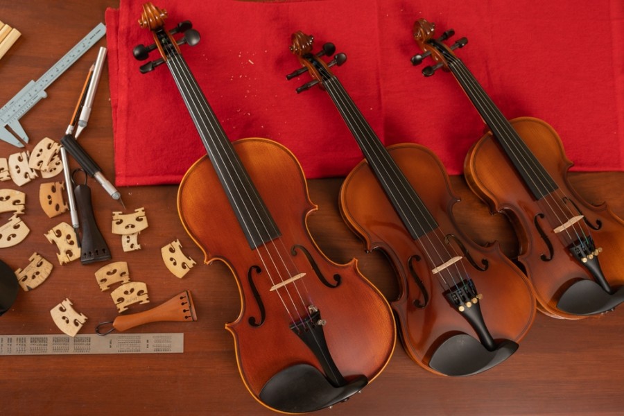 Taille violon: comment faire un bon choix ?